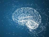Intelligence
